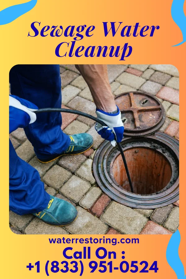 Sewage Water Cleanup in Hodges, AL